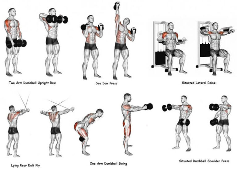 Sculpt Your Shoulders to Perfection with Our Expert Workouts