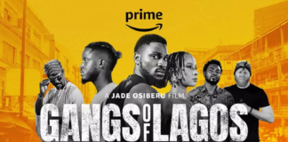 Gangs Of Lagos Movie Review